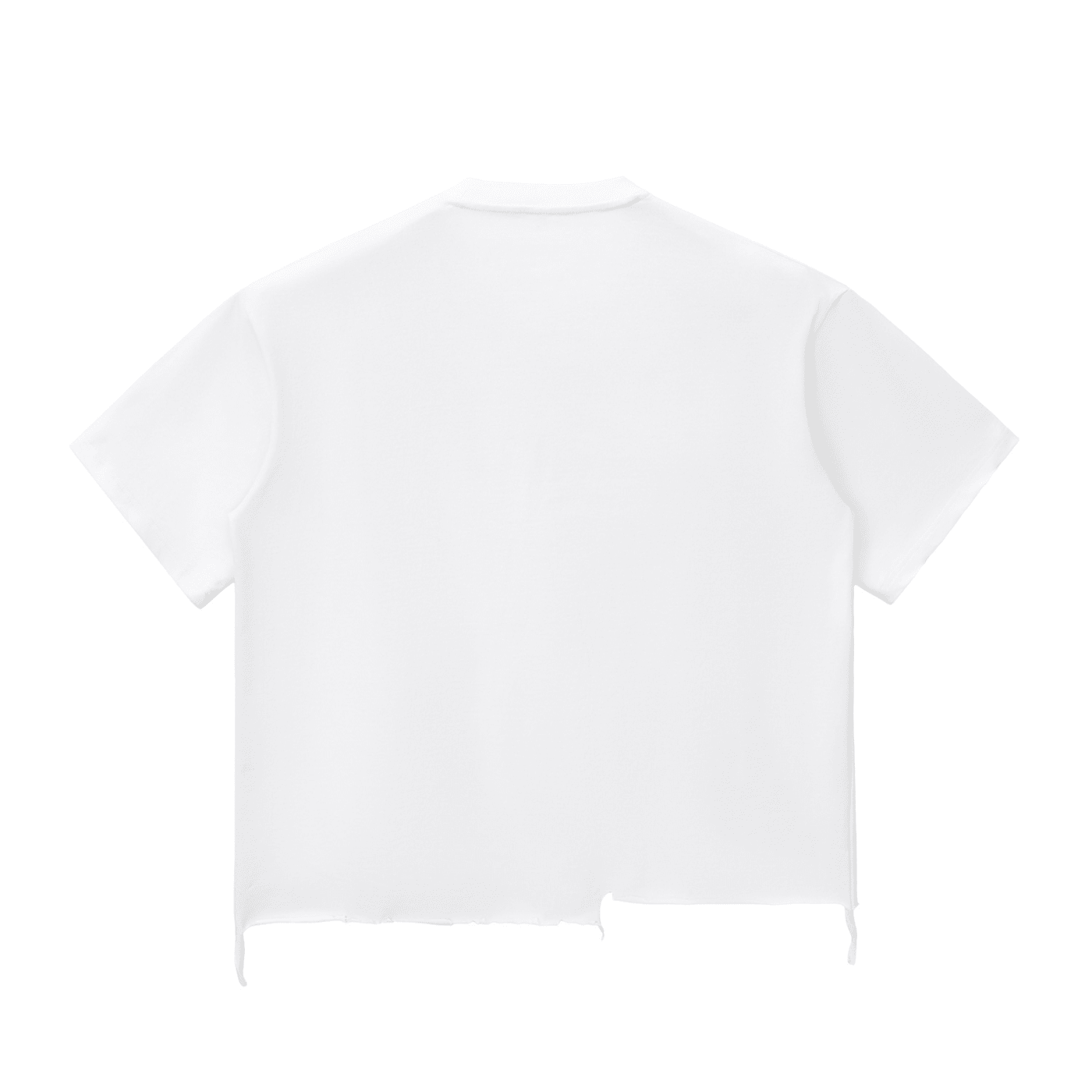 Snow Wash Raw - Hem Boxy T-shirt - Zensei Gear